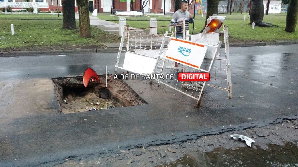 bache 1.jpg
