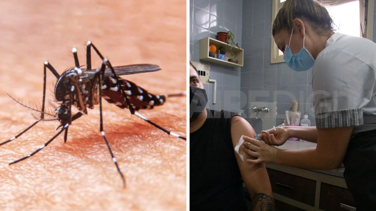 Por primera vez en el 2024