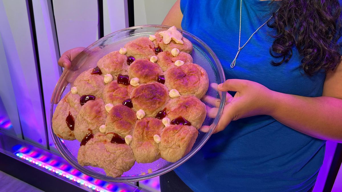 Árbol de pizza: la receta fácil y deliciosa para hacer en Navidad