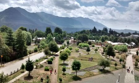 La comunidad pehuenche del Alto Biobío preserva el uso del piñón de la araucaria como base de su dieta y cultura, manteniendo un vínculo sagrado con los bosques de la región. La comunidad pehuenche del Alto Biobío preserva el uso del piñón de la araucaria como base de su dieta y cultura, manteniendo un vínculo sagrado con los bosques de la región.