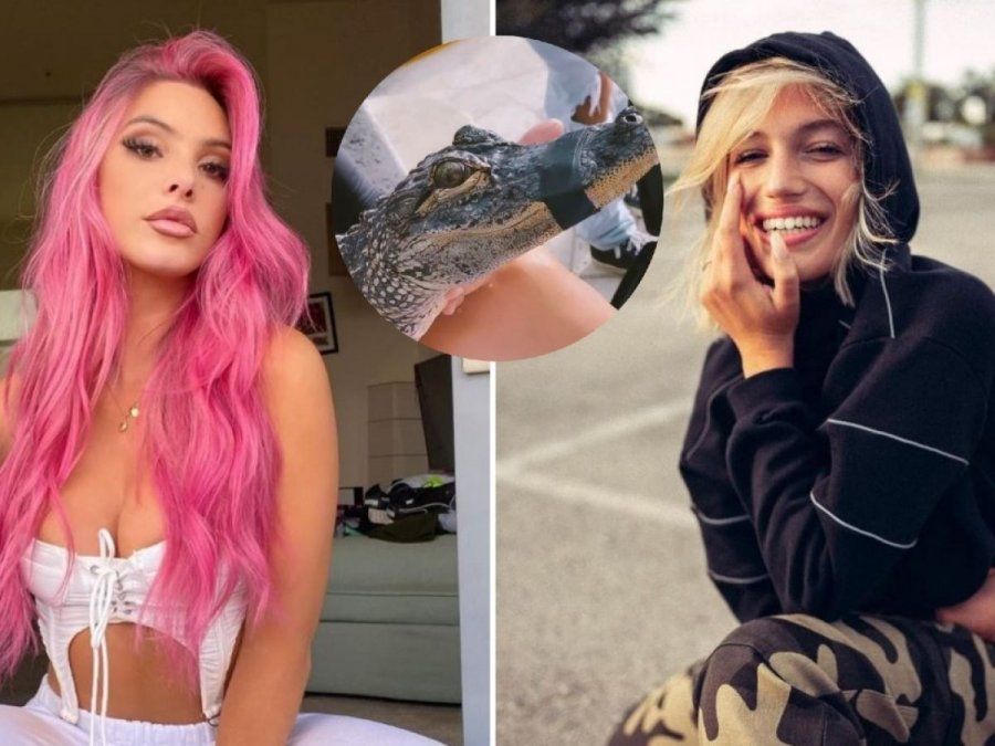 Las disculpas de Stefi Roitman luego de que se la acusaran de maltrato animal&nbsp;