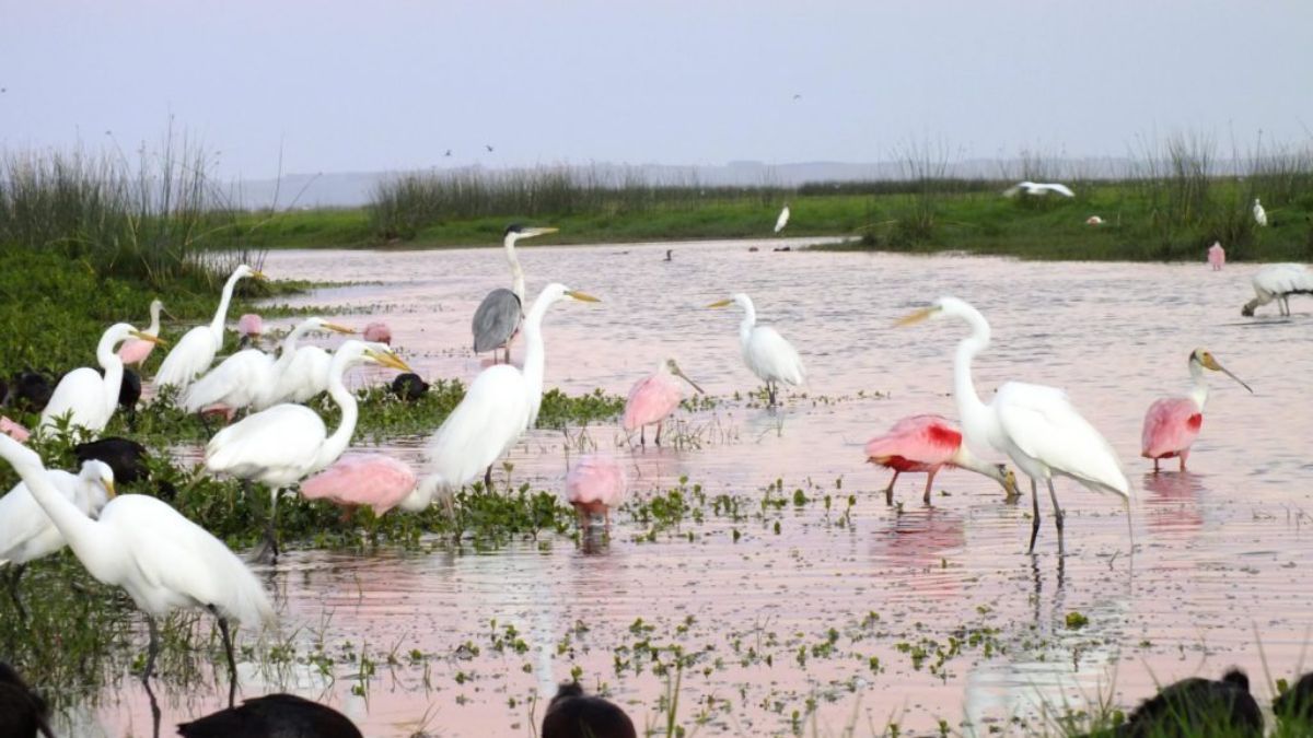 La cercanía con las áreas protegidas convierte al pueblo en una base estratégica para el ecoturismo de bajo impacto, una tendencia que crece entre los viajeros argentinos. La cercanía con las áreas protegidas convierte al pueblo en una base estratégica para el ecoturismo de bajo impacto, una tendencia que crece entre los viajeros argentinos.