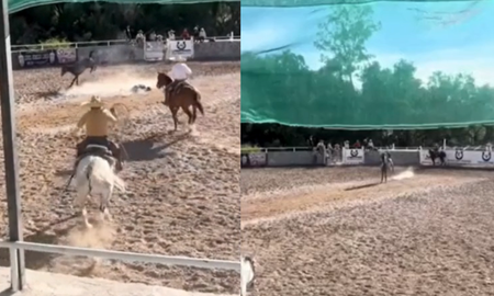 Video: un caballo le pegó una fuerte patada a un jinete, noqueándolo instantáneamente. Video: un caballo le pegó una fuerte patada a un jinete, noqueándolo instantáneamente.