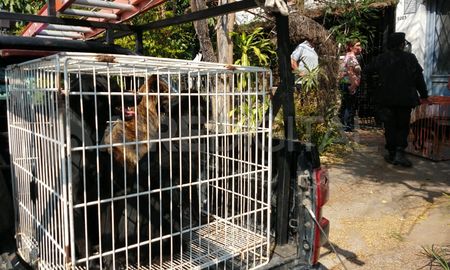 El operativo fue en una casa ubicada en calle Llerena, en barrio Los Hornos. El operativo fue en una casa ubicada en calle Llerena, en barrio Los Hornos.