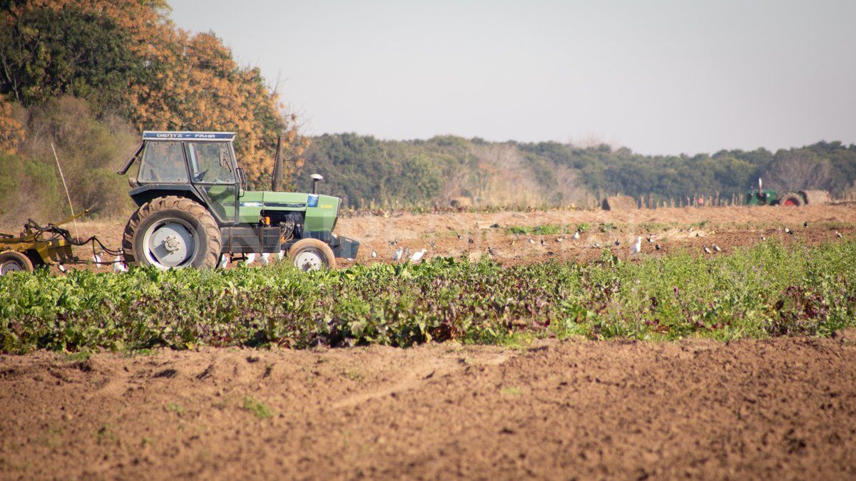 Desde Bases Federadas advierten que el debate de la política agraria pasó de hacer justicia con la diferenciación y segmentación a premiar a los que tienen más capacidad de atesorar los granos.