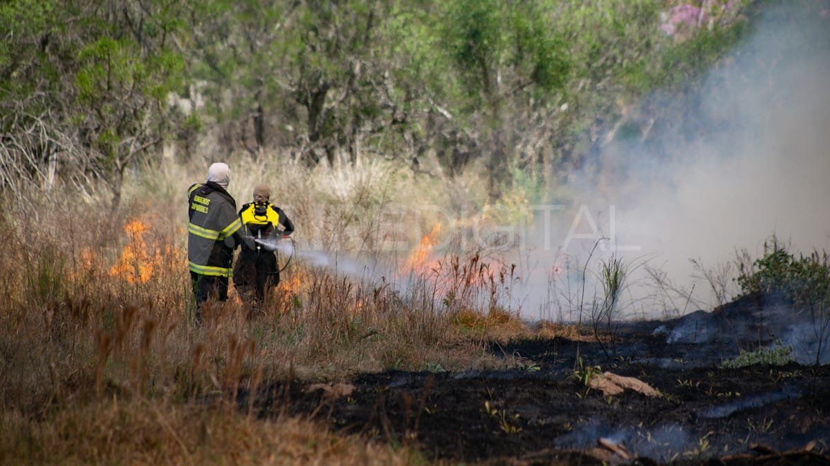 De viernes a este martes hubo 38 incendios en Santa Fe.&nbsp;