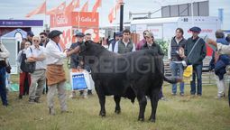 genetica angus, tecnologia y economia: los platos fuertes de este miercoles en expoagro 2026