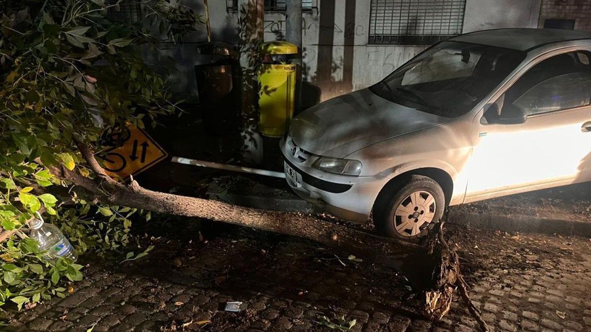 Un oficial penitenciario chocó un árbol y dio positivo en el test de alcoholemia: ocurrió en La Plata.