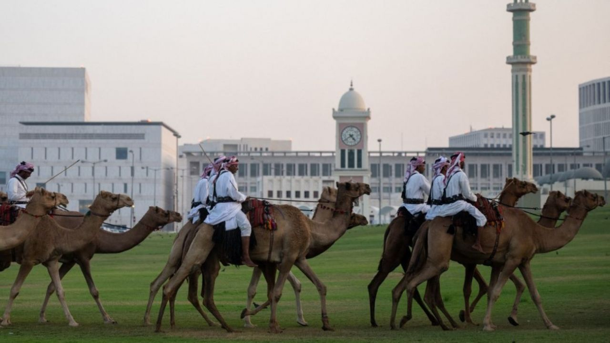 El virus del camello: de qué trata esta enfermedad que podría propagarse en la Copa del Mundo Qatar 2022