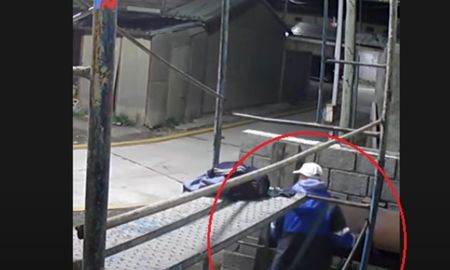 Video: aprovechó la distracción del anfitrión para robarse la carne de la parrilla Video: aprovechó la distracción del anfitrión para robarse la carne de la parrilla