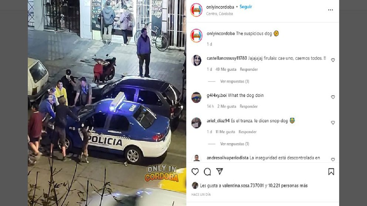 Un perro formó parte de una requisa policial y las redes estallaron: “El perro sospechoso”
