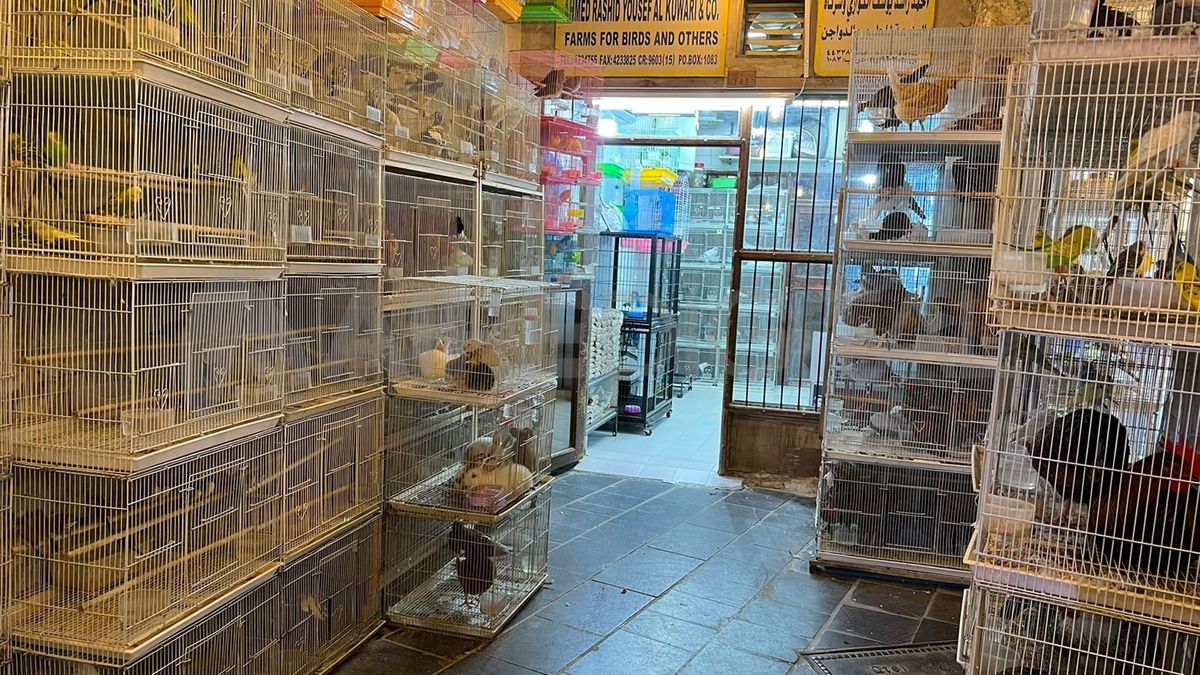 En otro sector se venden animales en jaulas, y todo tipo de productos para su cuidado.