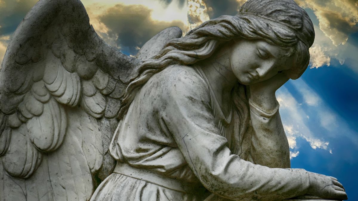 Cada signo del zodíaco recibe un consejo único y valioso. Cada signo del zodíaco recibe un consejo único y valioso.