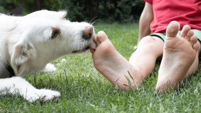 Qué significa que tu perro te lama los pies, según expertos