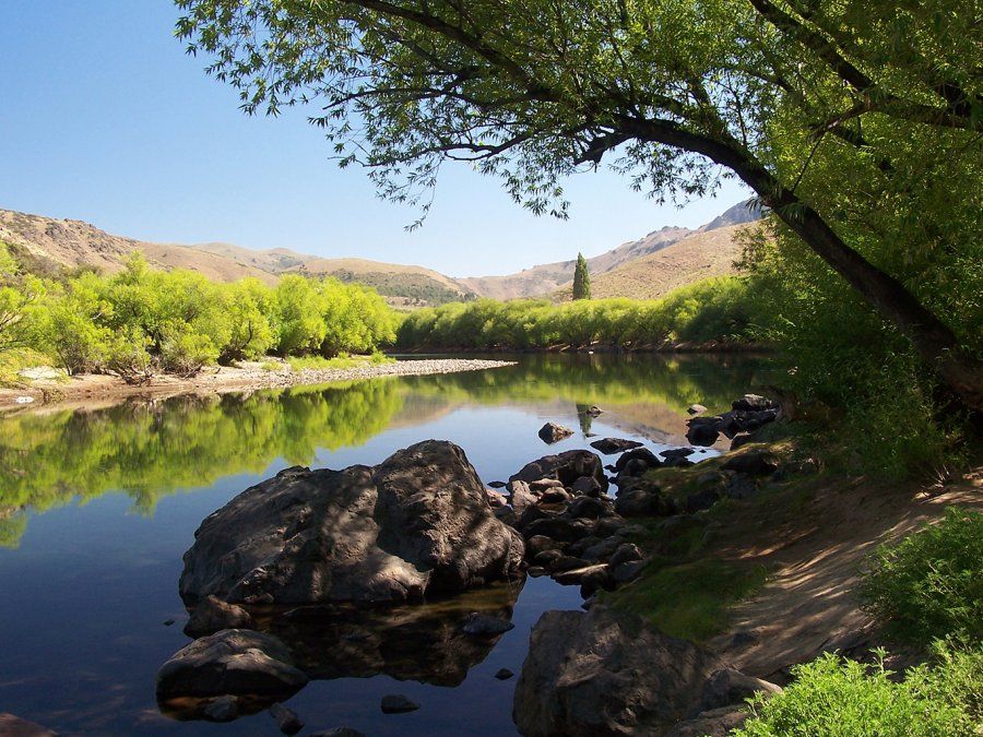 La Fiesta Nacional del Pehuén se realizará durante Semana Santa en Aluminé