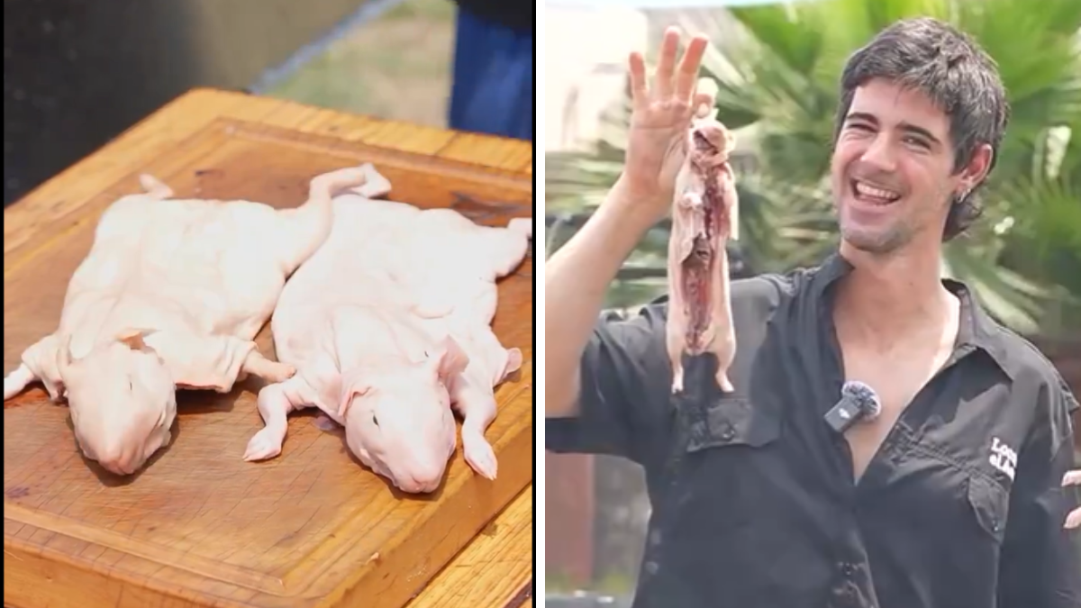 Luciano Laucha Luchetti de Locos por el Asado causó polémica al asar un roedor en la parrilla: el impacto en redes