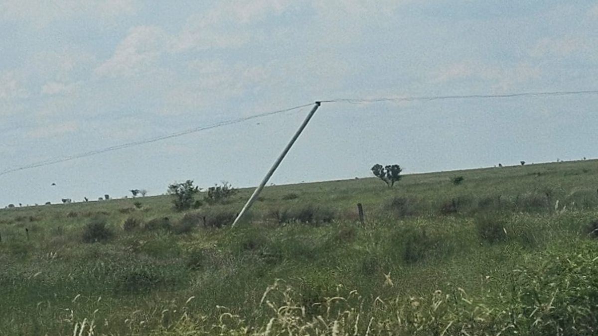 La caída de postes de luz dejó sin luz a más de 40 familias.&nbsp;