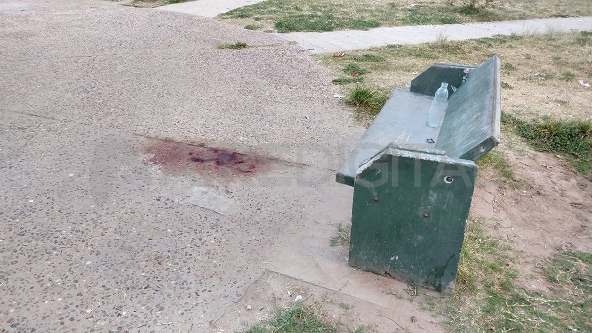 Los disparos alcanzaron a Siboldi y a otro joven que se encontraba en el lugar y el cual logró sobrevivir al ataque. Los disparos alcanzaron a Siboldi y a otro joven que se encontraba en el lugar y el cual logró sobrevivir al ataque.