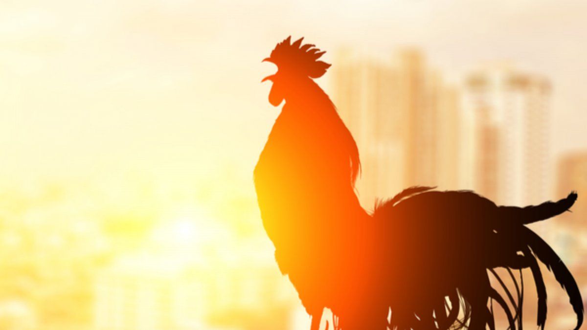 Algunas personas llamaron molestas a la municipalidad para quejarse.&nbsp;