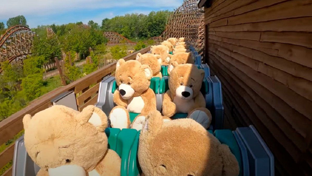 Video: los osos de peluche que disfrutan de un parque temático en plena cuarentena