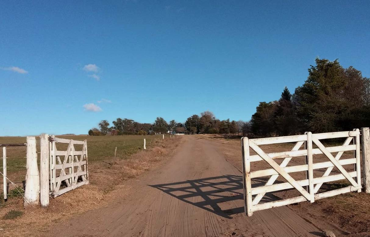 Chubut: robaron ovejas y dejaron las cabezas en una tranquera