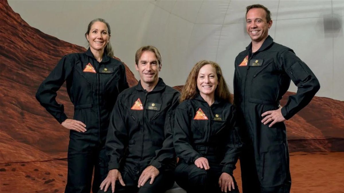 Los voluntarios Alyssa Shannon, Ross Brockwell, Kelly Haston y Nathan Jones.