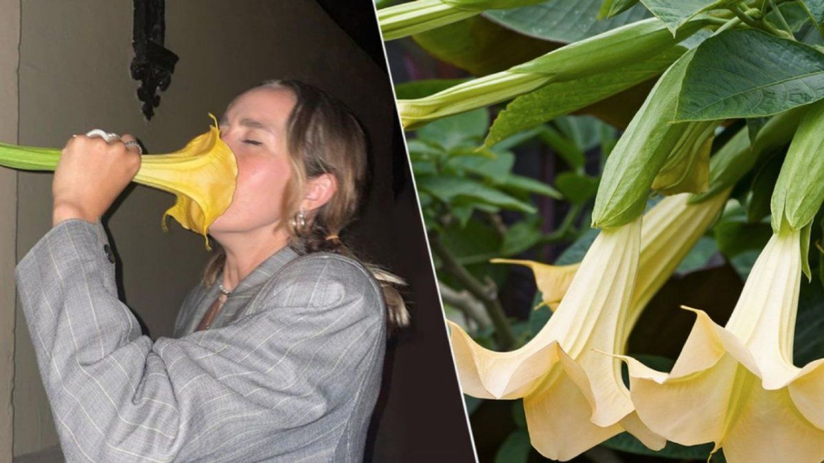 La muchacha no sabía al riesgo que se estaba exponiendo.&nbsp;