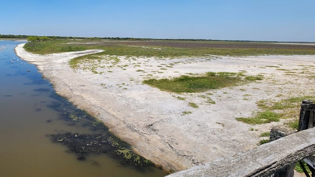 Así está el arroyo Golondrina
