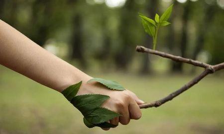 El objetivo de la Ley Yolanda es garantizar la formación integral en ambiente, con perspectiva de desarrollo sostenible. El objetivo de la Ley Yolanda es garantizar la formación integral en ambiente, con perspectiva de desarrollo sostenible.