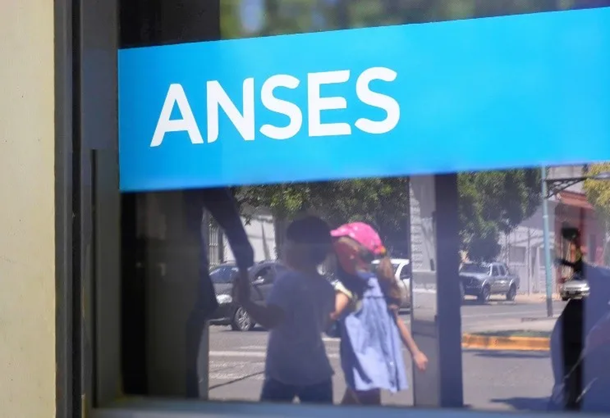 Fe de vida Anses