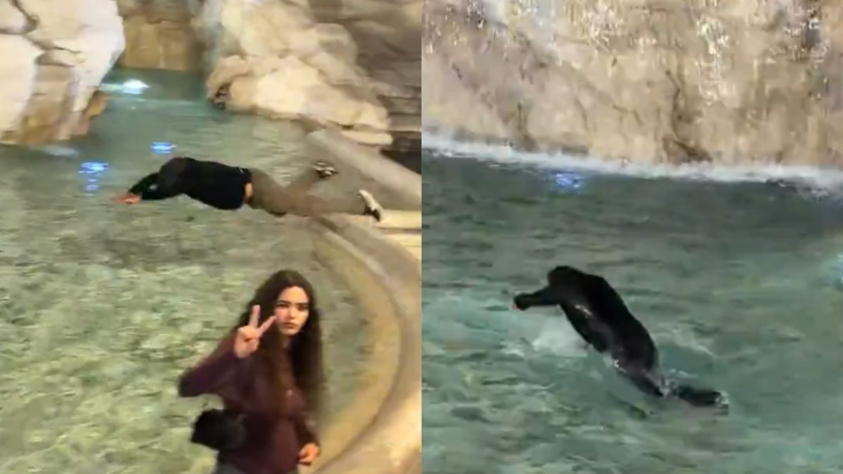 Un hombre se tiró dentro de la Fontana di Trevi, Roma