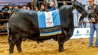Las Nacionales 2026 llegan con más cabañas y más de 1.000 animales en Corrientes Las Nacionales 2026 llegan con más cabañas y más de 1.000 animales en Corrientes