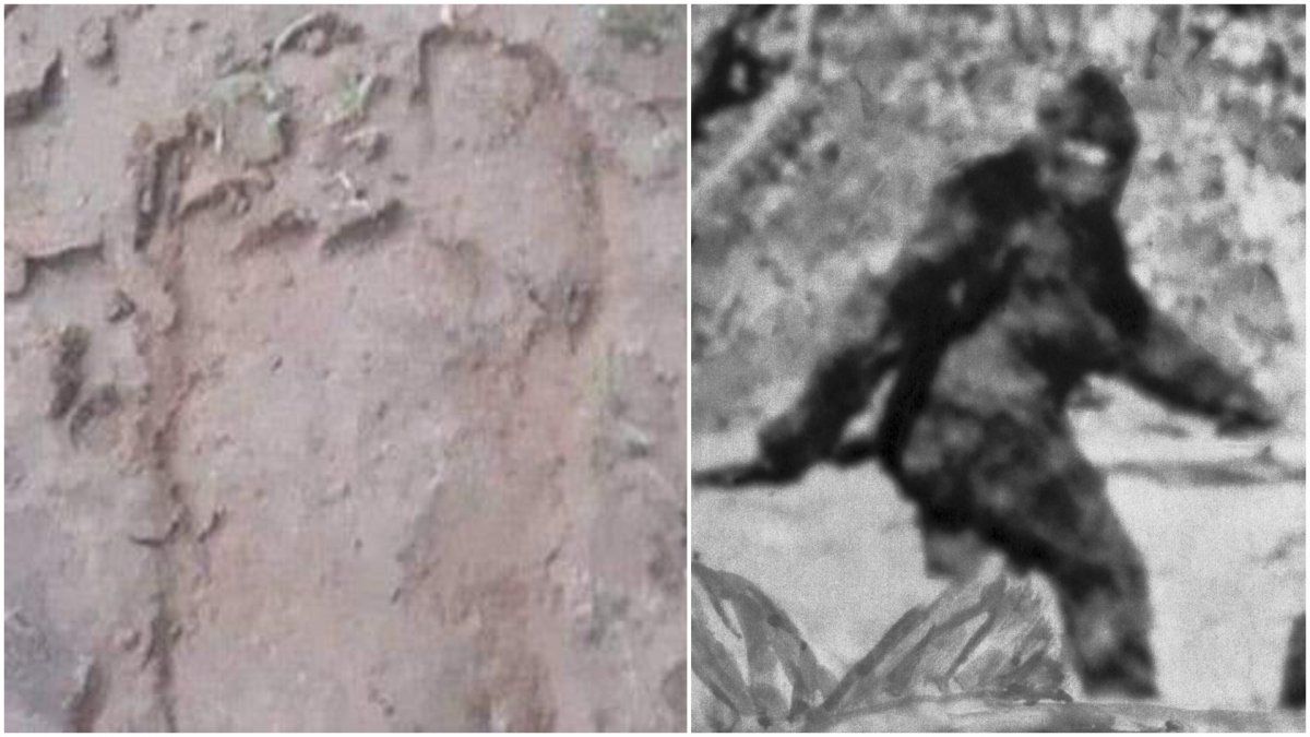 El aterrador relato de un baqueano que dice haber visto al Ucumar: Desde que vi a esa cosa