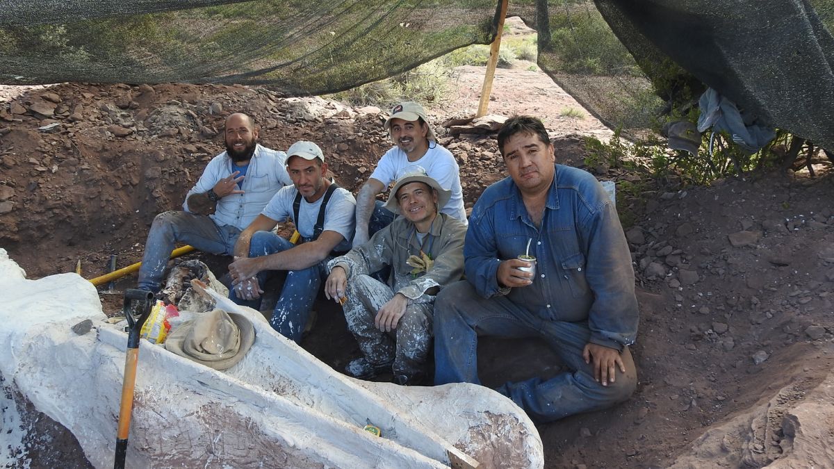 Descubrieron en Vaca Muerta restos fósiles de un dinosaurio de 95 millones de años.
