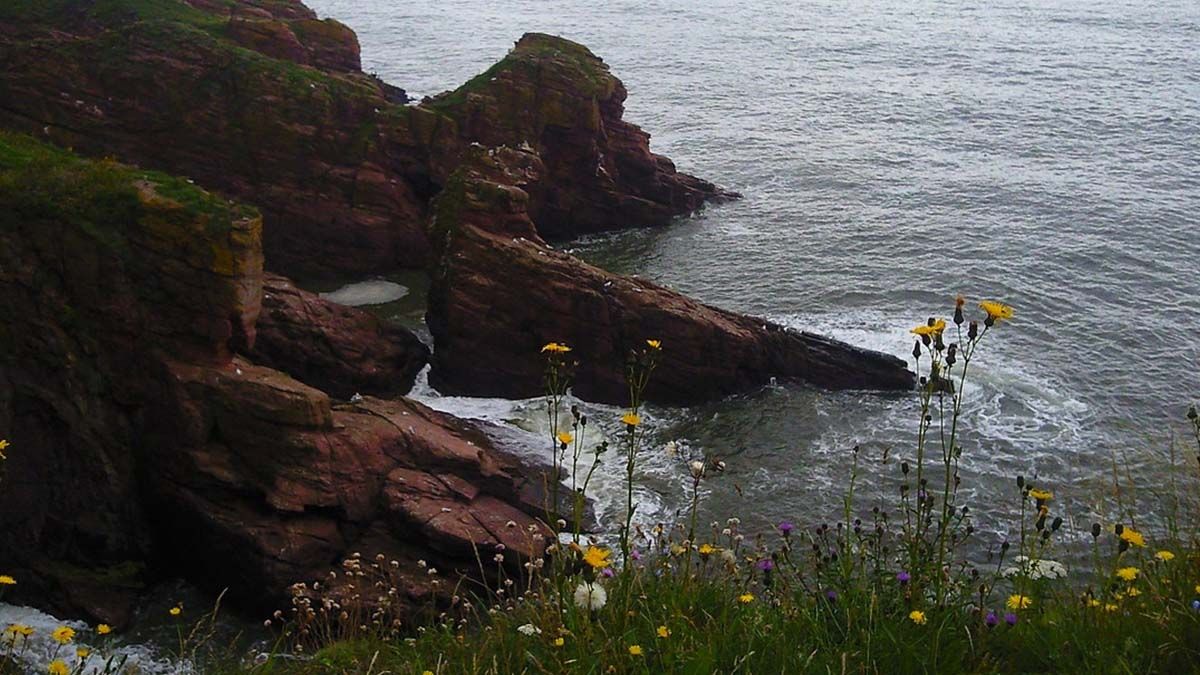 Los acantilados de Arbroath