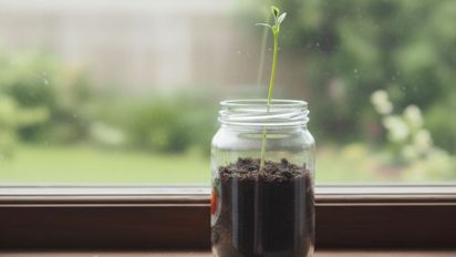 La planta que limpia malas vibras y crece hasta en un frasco de mermelada