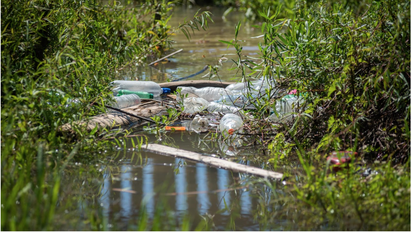 ¿Se puede limpiar una laguna? Aportes de la ciencia ante el drama de la contaminación por plásticos