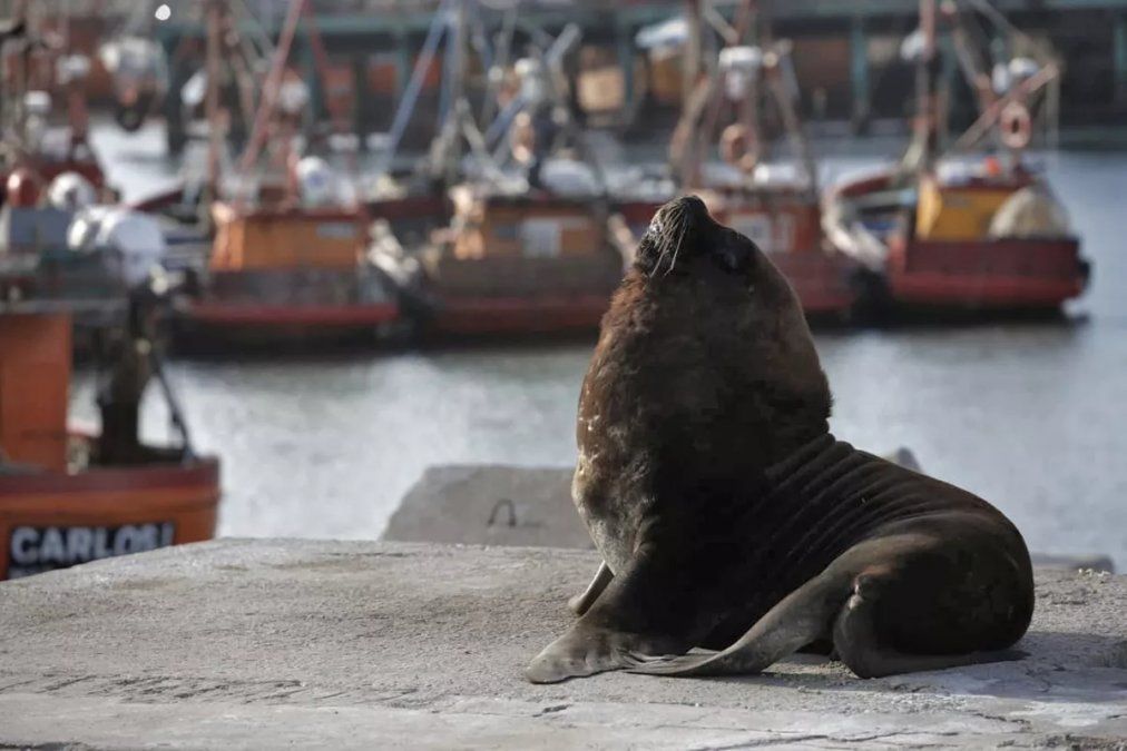 Mar del Plata: qué hacer más allá de la playa