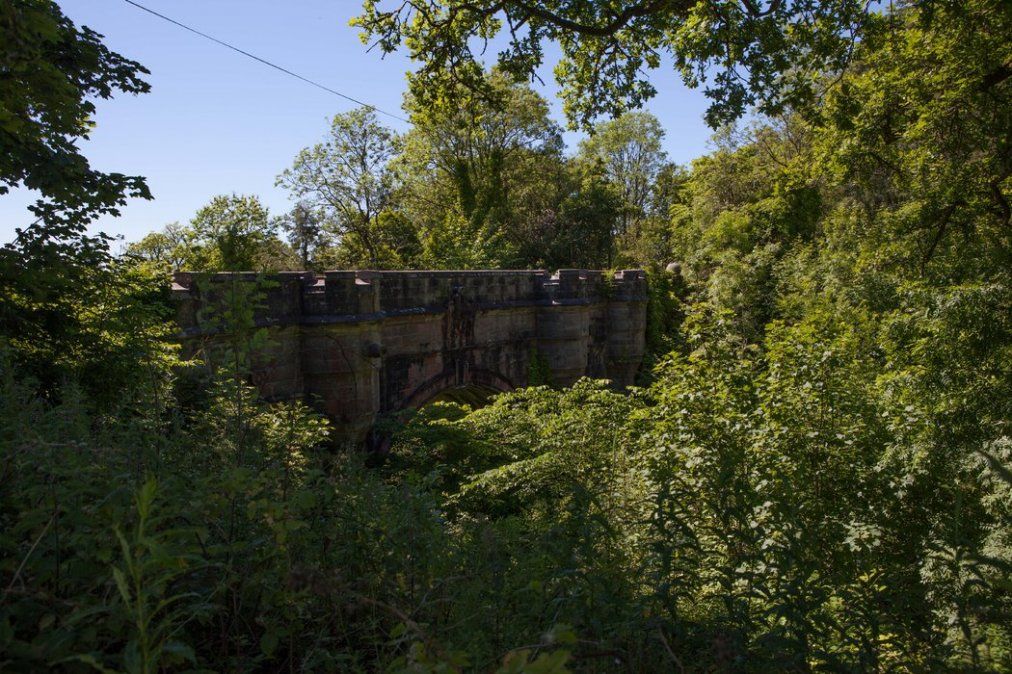 Se develó el secreto del misterio del puente al que van a suicidarse los perros