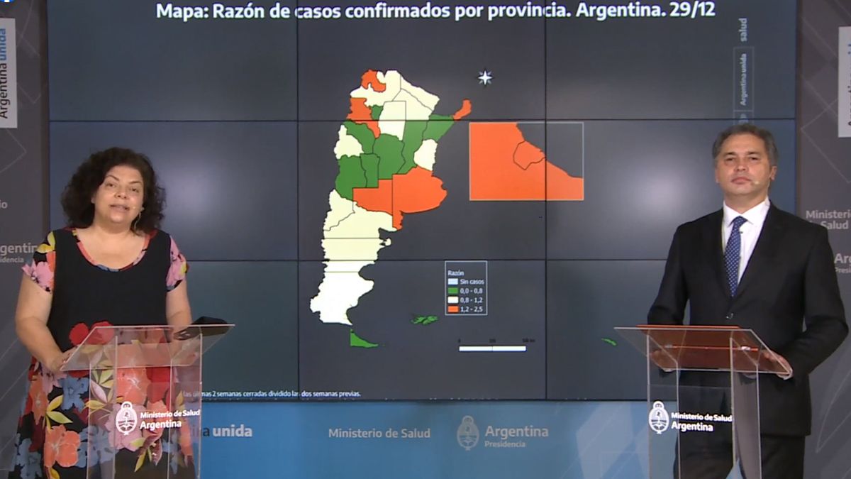 Vizzotti alertó sobre el aumento de casos de coronavirus en varias regiones del país