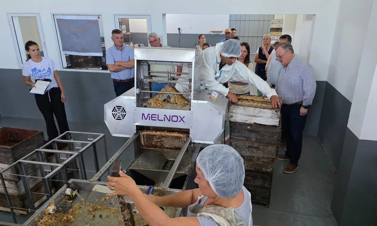 El senador Felipe Michlig visitó la nueva sala de extracción de miel de la Cooperativa de Apicultores de Ambrosetti.
