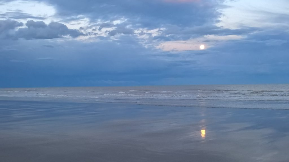 La Chiquita es una de las playas más solitarias de la provincia de Buenos Aires y es por esa razón que es la preferida por solo unos pocos que buscan unas vacaciones en paz. La Chiquita es una de las playas más solitarias de la provincia de Buenos Aires y es por esa razón que es la preferida por solo unos pocos que buscan unas vacaciones en paz.