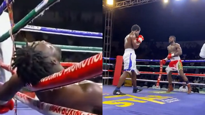 Conmoción en el mundo del boxeo: un peleador se desvaneció en el ring y falleció