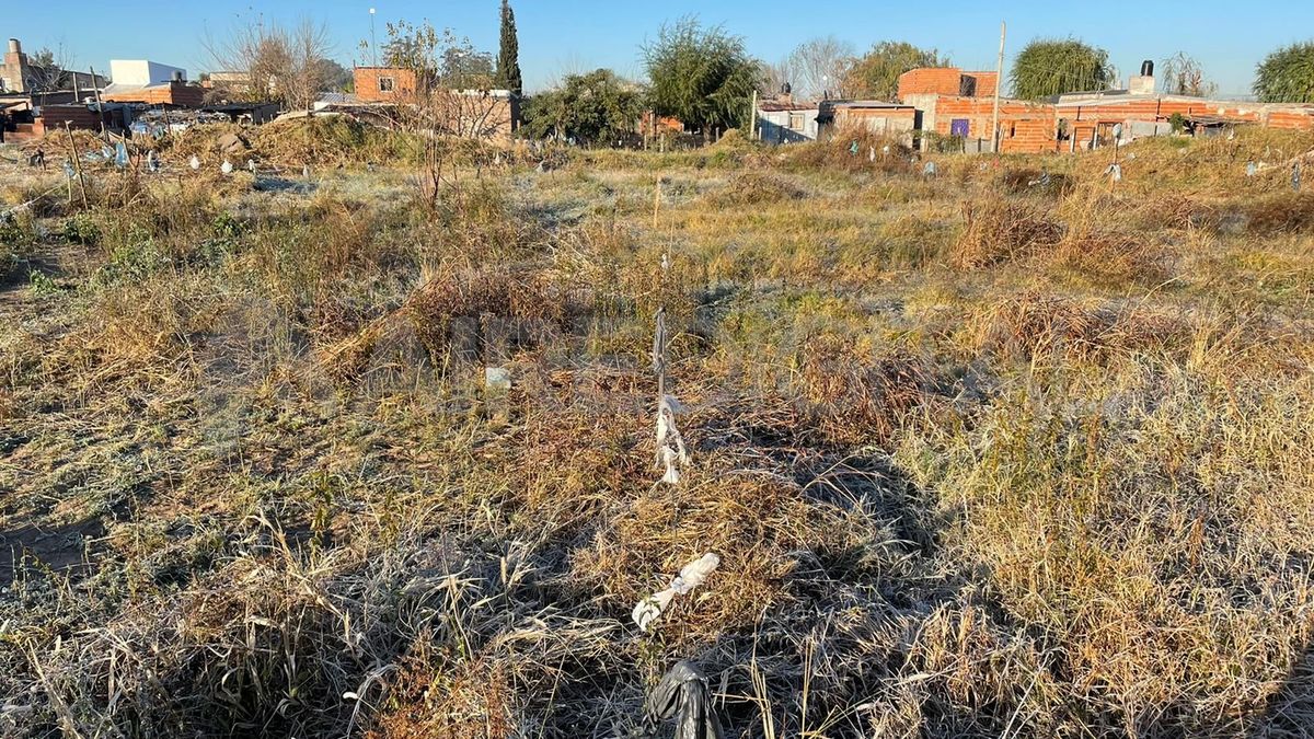 Los vecinos de la zona aseguran que un particular vende los terrenos a 10.000 pesos.