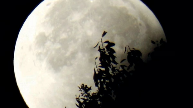 El eclipse parcial lunar se vio en toda la Argentina.