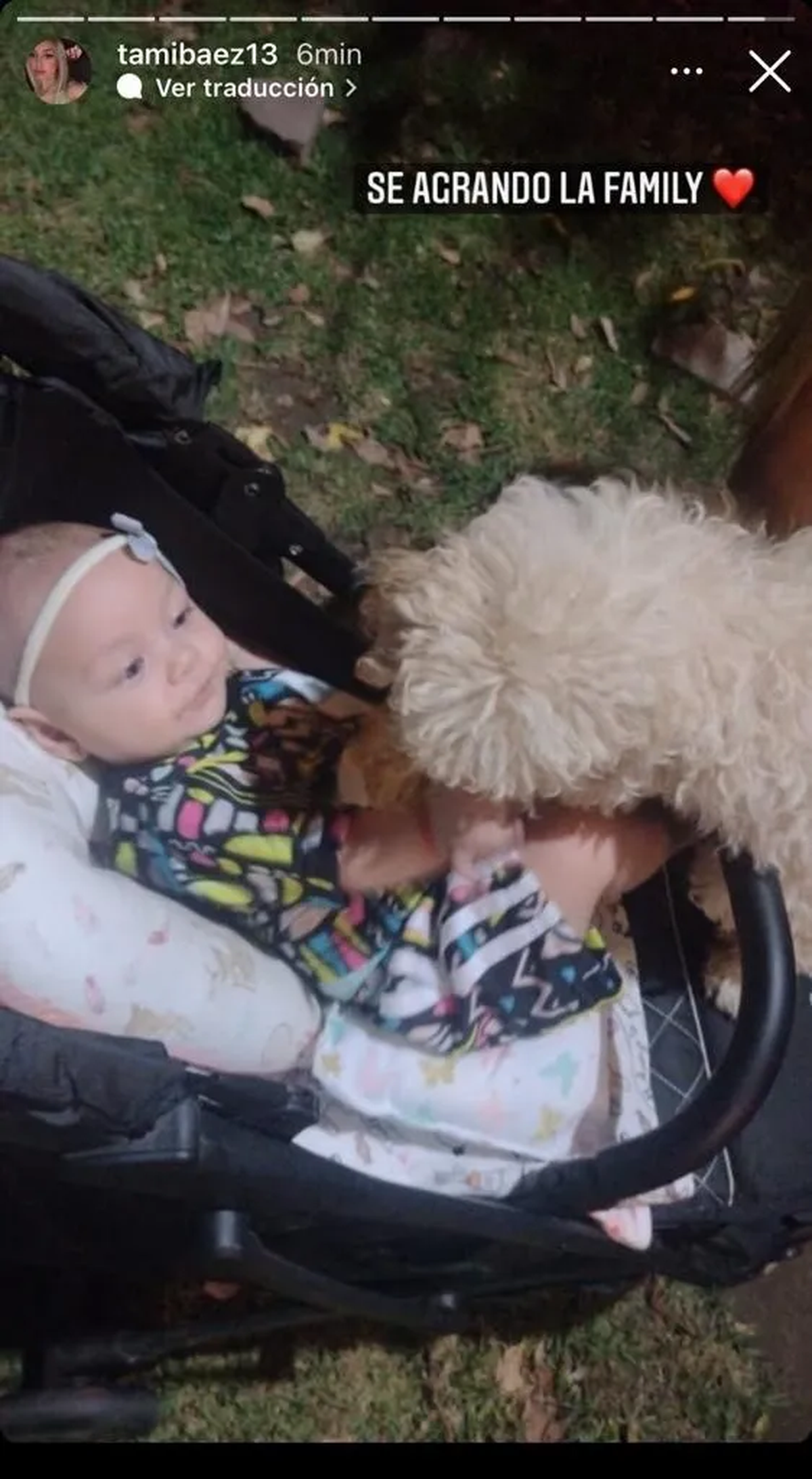 L-Gante&nbsp;y&nbsp;Tamara B&aacute;ez adoptaron un perro.