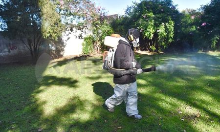 El Ministerio de Salud de Santa Fe confirmó 149 casos de dengue en la provincia. El Ministerio de Salud de Santa Fe confirmó 149 casos de dengue en la provincia.
