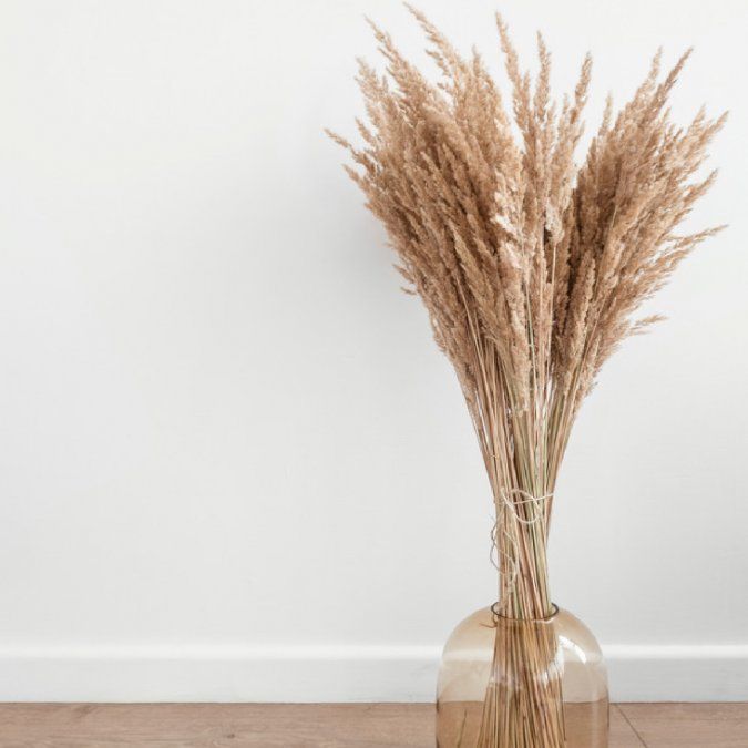 Tips para decorar tu hogar con flores secas