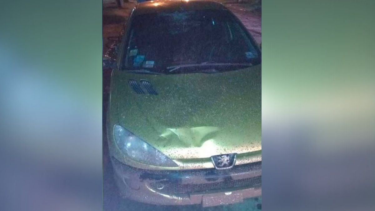 El examen de alcoholemia al conductor arrojó resultado positivo