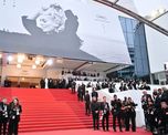 El Festival de Cannes 2026 en vivo. El Festival de Cannes 2026 en vivo.